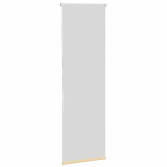 Rolgordijn verduisterend 55x130cm stofbreedte 50,7 cm polyester 4