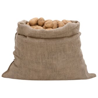 Jutezakken 5 stuks 220 g/m&sup2; 100x110 cm 100% jute 2