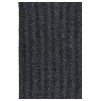 Droogloopmat 100x150 cm antracietkleurig 1
