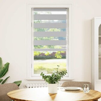 Zebra rolgordijn 60x100 cm stofbreedte 55,9 cm lichtgrijs 2