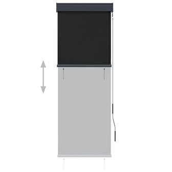 Rolgordijn voor buiten 60x250 cm antraciet 3