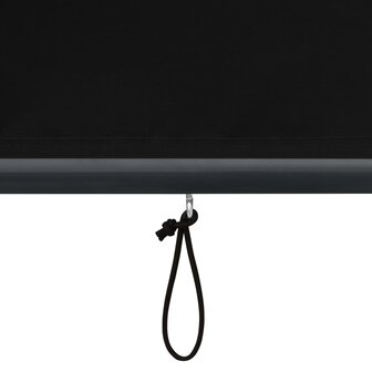 Rolgordijn voor buiten 60x250 cm antraciet 7