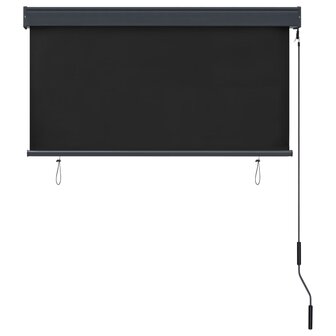 Rolgordijn voor buiten 120x250 cm antraciet 3