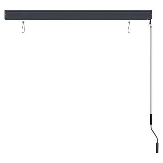 Rolgordijn voor buiten 140x250 cm antraciet 5