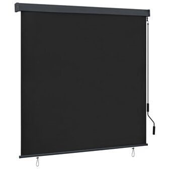 Rolgordijn voor buiten 160x250 cm antraciet 1