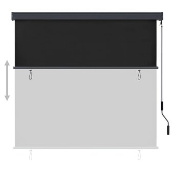 Rolgordijn voor buiten 160x250 cm antraciet 3