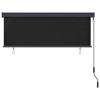 Rolgordijn voor buiten 160x250 cm antraciet 4