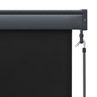 Rolgordijn voor buiten 160x250 cm antraciet 6