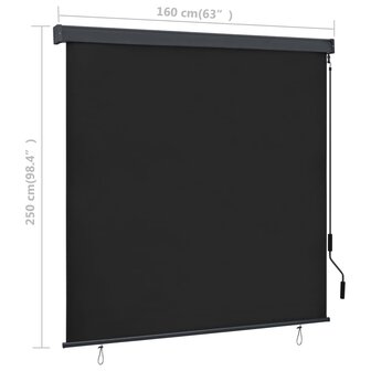 Rolgordijn voor buiten 160x250 cm antraciet 8