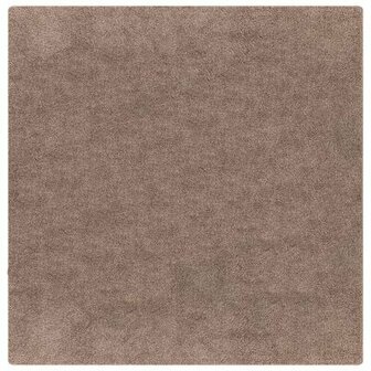 Shaggy Vloerkleed Hoge Pool Bruin 120x120 cm PP 2