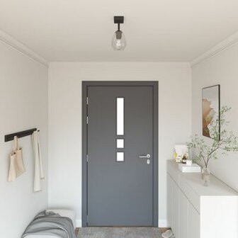 Plafondlampen met Verstelbare Glazen Kap Anthraciet E27 1