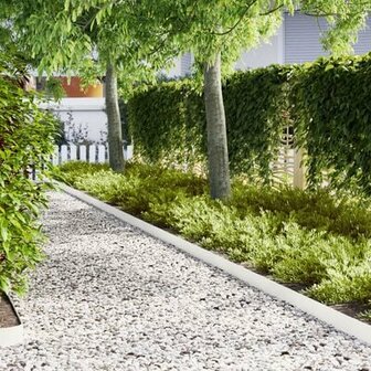 Gazonranden 10 st 100x0,5x15 cm staal wit 1
