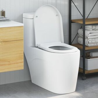 Snelsysteem Toiletbril met Zachte Sluit Duroplast Wit 1