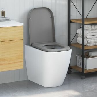 Snelle Toiletbril met Soft Close Duroplast Grijs 1