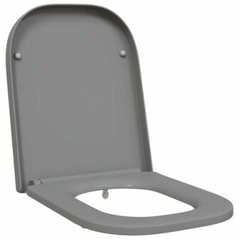 Snelle Toiletbril met Soft Close Duroplast Grijs 2