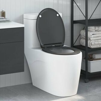Quick Release Toiletbril met Soft Close Duroplast Anthraciet 1