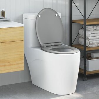 Snelle Release Toiletbril met Zachte Sluiting Duroplast Grijs 1