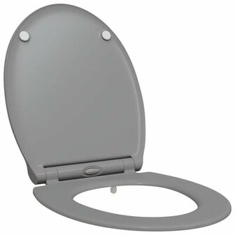 Snelle Release Toiletbril met Zachte Sluiting Duroplast Grijs 2