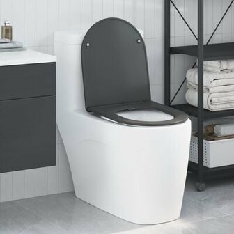 Snelle Toiletbril met Zachte Sluiting Duroplast Anthraciet 1