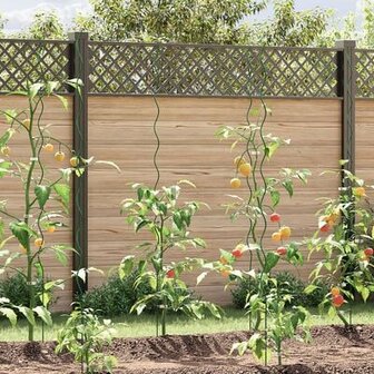 Spiraal Plantensteunen 20 stuks 170 cm Staal 1
