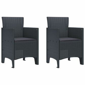 Tuinstoelen met Kussens 2 stuks Anthraciet Poly Rattan 2