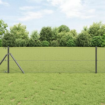Gelaste Draadhek Grijs 0.4x10 m Staal 1