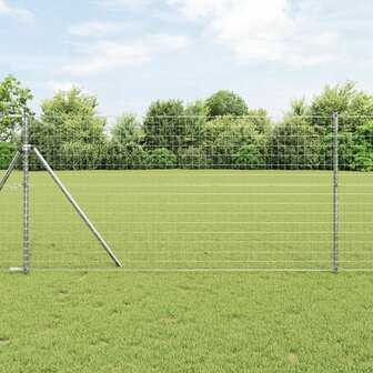 Euro Schutting 1x25 m Verzinkt Staal 1
