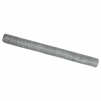 Hexagon Schutting 1.6x25 m Gegalvaniseerd Staal 2
