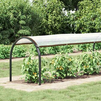 Doorzichtig zeildoek met zeilringen 1x10 m polyethyleen 2