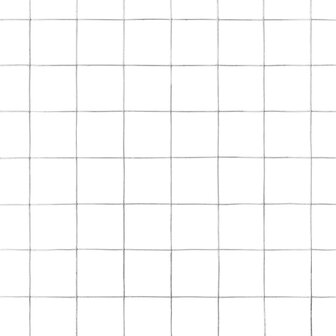 Kippengaas 10x0,5 m gegalvaniseerd staal zilverkleurig 4