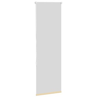 Rolgordijn verduisterend 60x150cm stofbreedte 55,7 cm polyester 4
