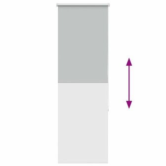 Rolgordijn verduisterend 60x150cm stofbreedte 55,7 cm polyester 9
