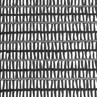 Privacynet 195 g/m&sup2; 1x10 m HDPE antracietkleurig 4