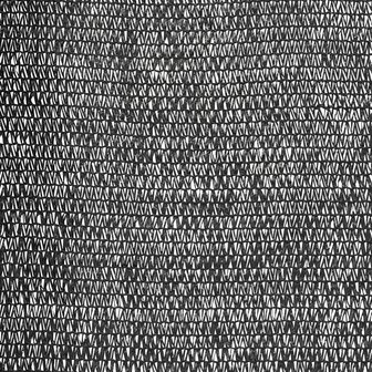 Privacynet 150 g/m&sup2; 1,2x25 m HDPE zwart  4