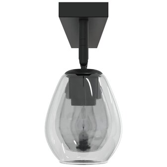 Plafondlamp met verstelbare glazen lampenkap E27 antraciet 4