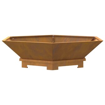 Vuurplaats Hexagonaal 100x100x28 cm Weerbestendig Staal 5