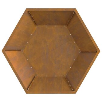 Vuurplaats Hexagonaal 100x100x28 cm Weerbestendig Staal 6