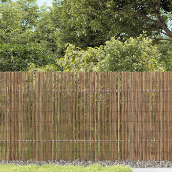 Tuinscherm 300x140 cm riet 1