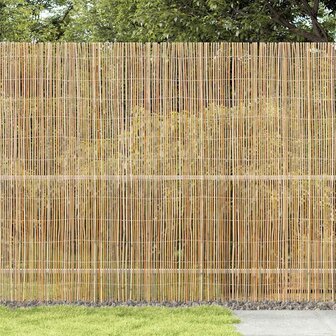 Tuinscherm 300x180 cm bamboe 2