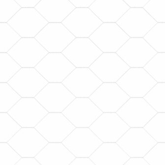 Hexagonschutting 1.2x10 m Verzinkt Staal 8