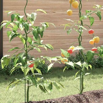 Plantensteunen spiraal 5 st 170 cm staal 2