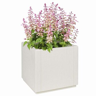 Tuin Bloempot Wit 36 x 36 x 35 cm Polypropyleen 2