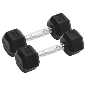 Halters 2 st 8 kg totaal gietijzer 1