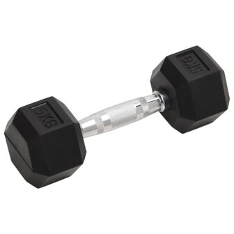 Halters 2 st 10 kg totaal gietijzer 2