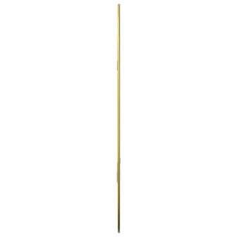 Wandspiegel 50x35 cm goudkleurig 5