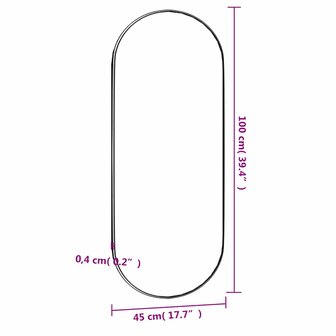 Wandspiegel 45x100 cm ovaal glas 6