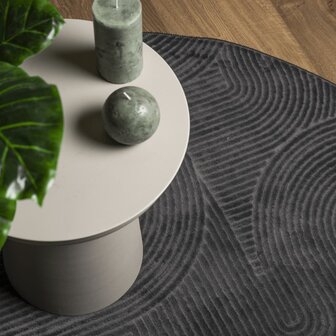 Vloerkleed IZA laagpolig Scandinavisch &Oslash; 120 cm antraciet 7