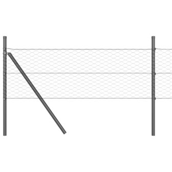 Hexagon Tuinhek Grijs 0,4x10 m Staal 6