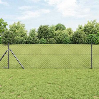 Gaashekwerk Grijs 10 x 0.6 m Ge&euml;galvaniseerd staal 1