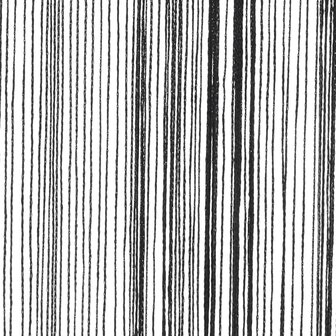 Draadgordijnen 2 st 100x250 cm zwart 8